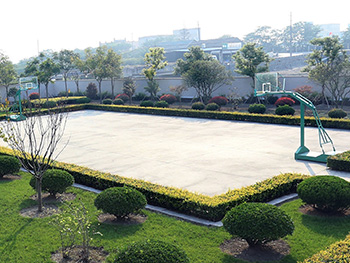 籃球場(chǎng)地.jpg